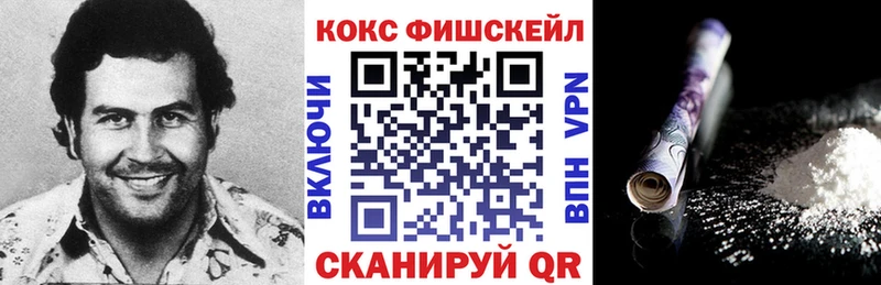 хочу   Харовск  COCAIN Fish Scale 