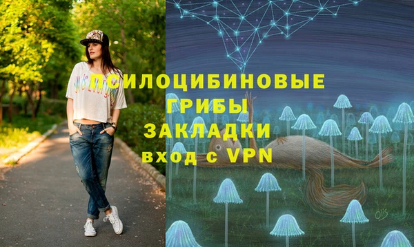 apvp Богородицк